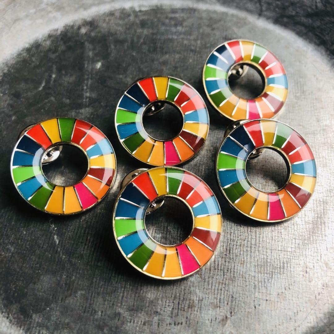 SDGs ピンバッジ　5点セット　国連本部純正品 Amazon.co.jp: 【国連本部公式最新ガイドライン仕様／インボイス